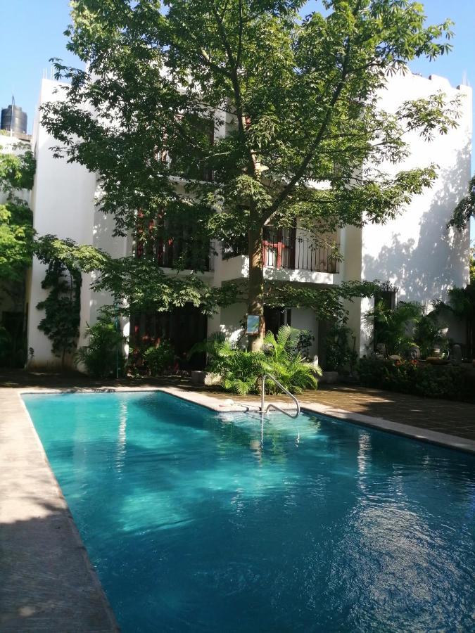 Ceiba Studios Zihuatanejo Exterior foto