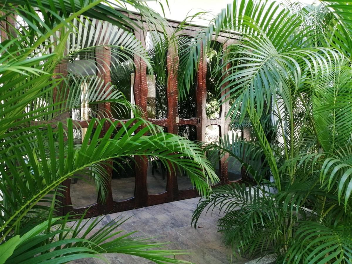 Ceiba Studios Zihuatanejo Exterior foto
