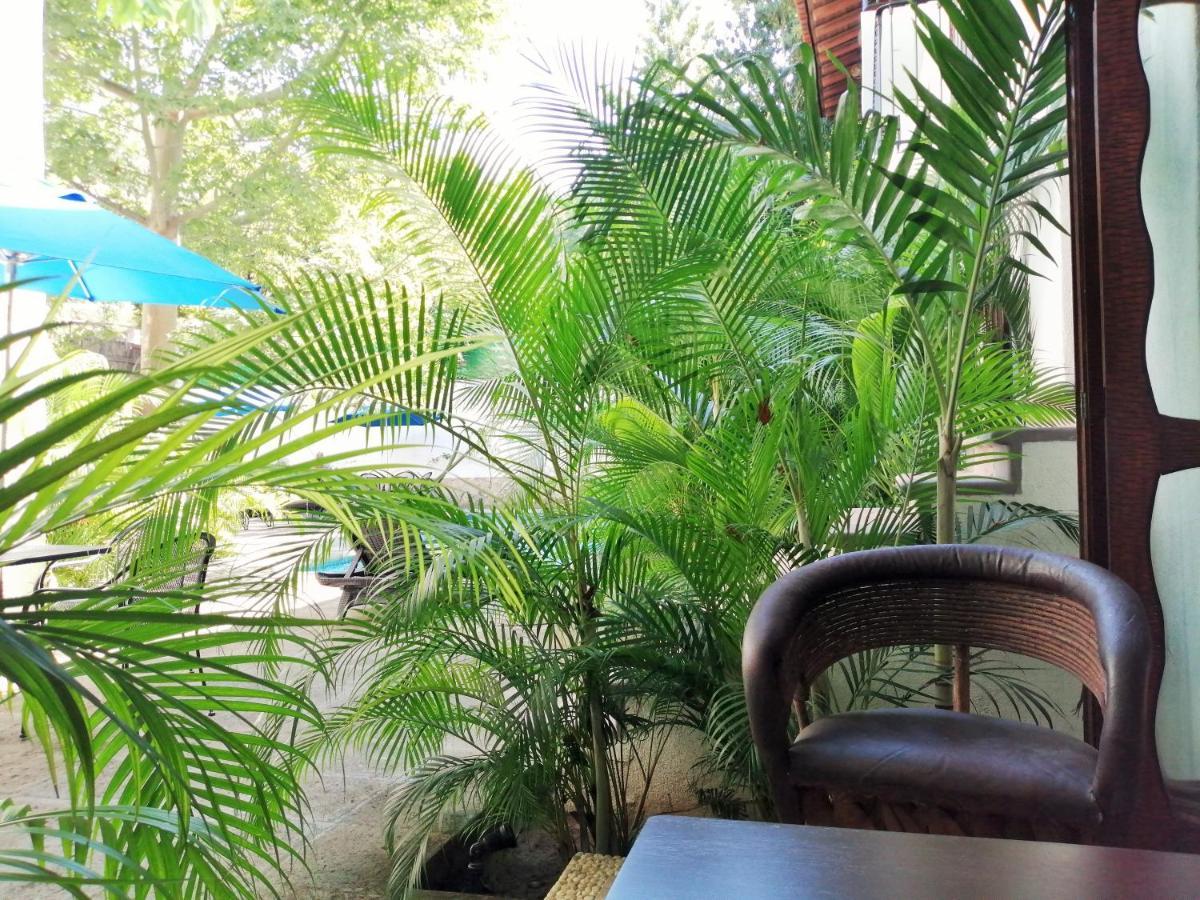 Ceiba Studios Zihuatanejo Exterior foto